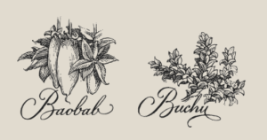 Zwei der 14 Botanicals im Elephant Gin