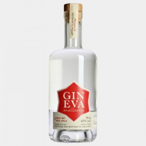 Gin Eva 0.7 l 45% Alk. - Ginobility